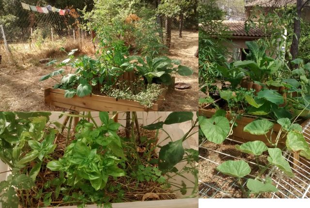 IMG_20170721_162617183